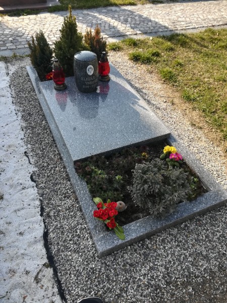 Česká žula
